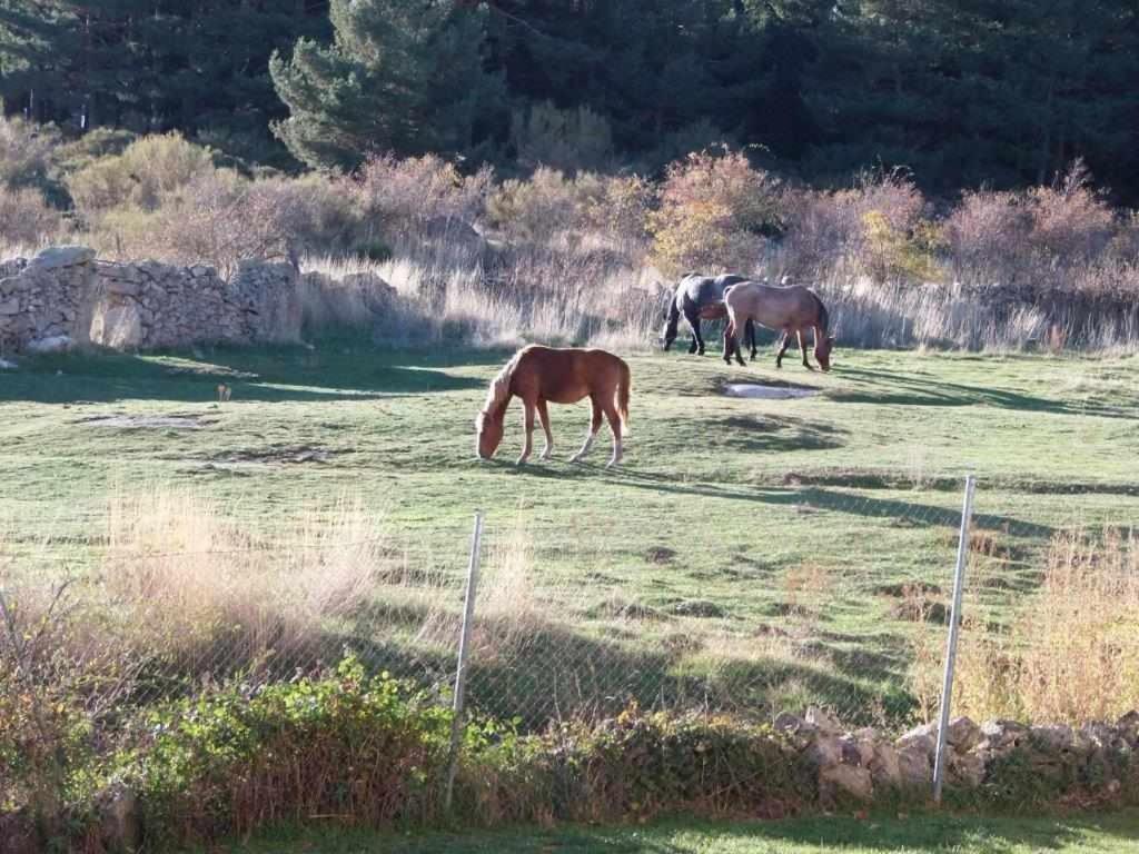 Casa Iona Chalet Adosado Con Vistas A La Montana Navarredonda de Gredos Buitenkant foto